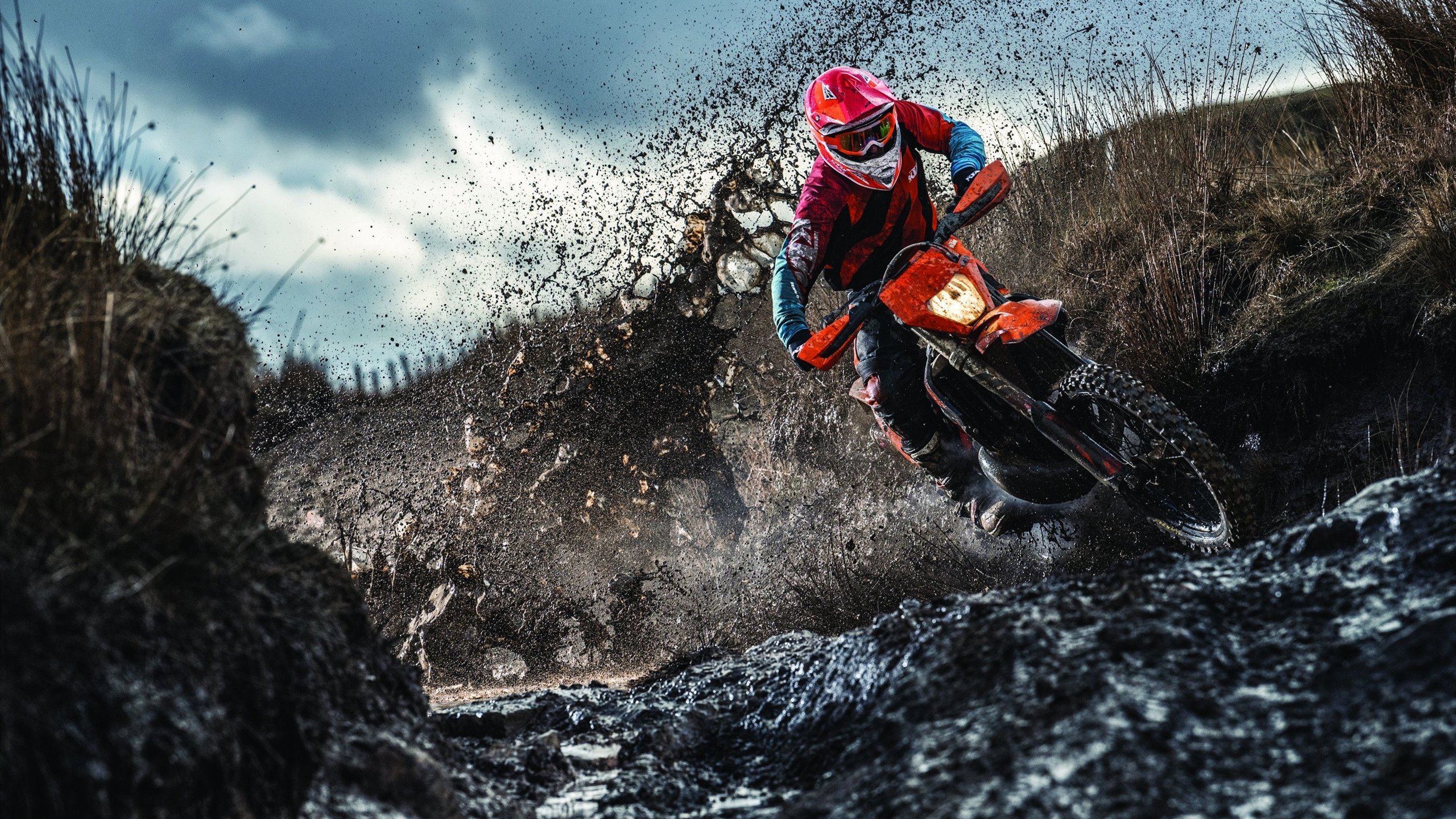 WRC冠军争夺战:车队拼搏只为夺冠,wrc2019冠军车队